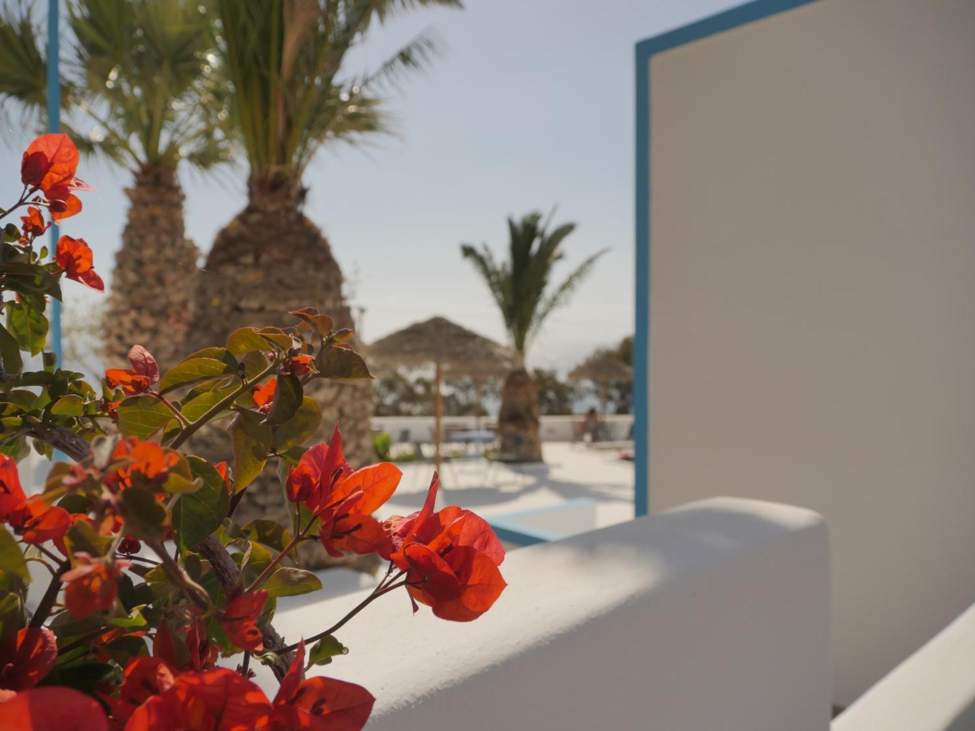 Ancient Thera Apartments Kamári Екстериор снимка
